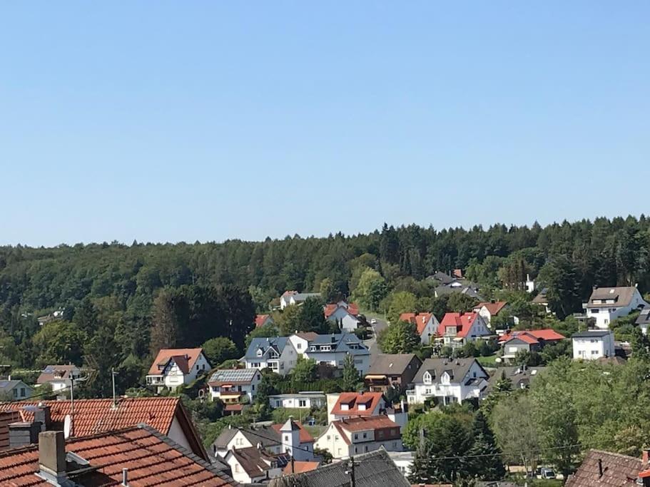 Apartment Mit Wintergarten Und Terrasse In Ruhiger Lage Im Schoenen Taunus Glashutten  Zewnętrze zdjęcie