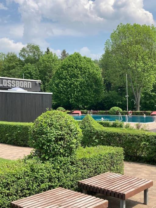 Apartment Mit Wintergarten Und Terrasse In Ruhiger Lage Im Schoenen Taunus Glashutten  Zewnętrze zdjęcie