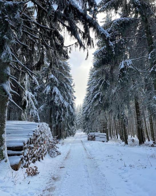 Apartment Mit Wintergarten Und Terrasse In Ruhiger Lage Im Schoenen Taunus Glashutten  Zewnętrze zdjęcie