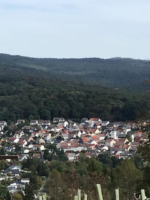 Apartment Mit Wintergarten Und Terrasse In Ruhiger Lage Im Schoenen Taunus Glashutten  Zewnętrze zdjęcie