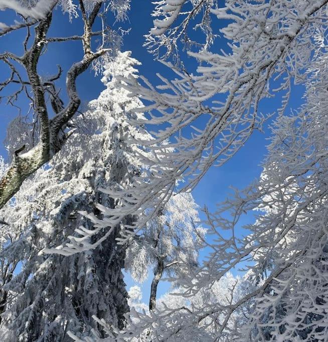 Apartment Mit Wintergarten Und Terrasse In Ruhiger Lage Im Schoenen Taunus Glashutten  Zewnętrze zdjęcie