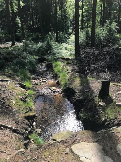 Apartment Mit Wintergarten Und Terrasse In Ruhiger Lage Im Schoenen Taunus Glashutten  Zewnętrze zdjęcie